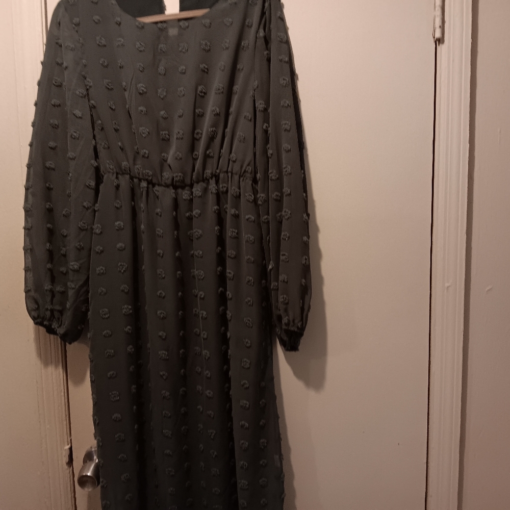 Fall/Winter green dress. Long w/ attached slip. Pom pom detail.